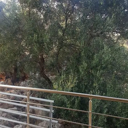 Appartamento George's House *